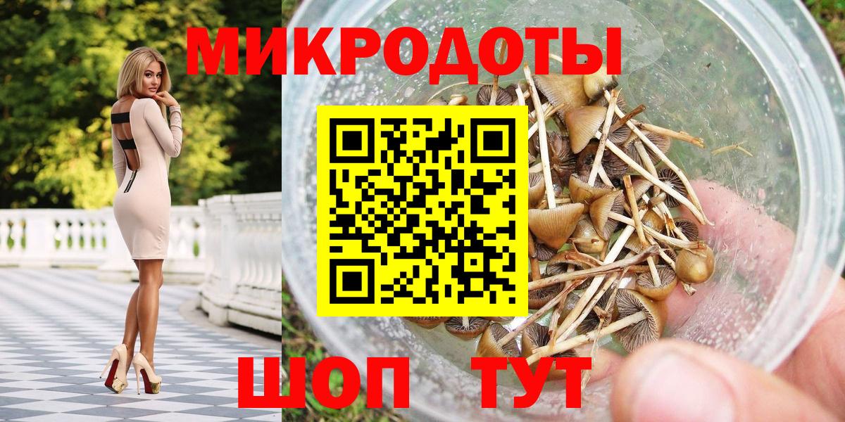 Псилоцибиновые грибы GOLDEN TEACHER Гурьевск